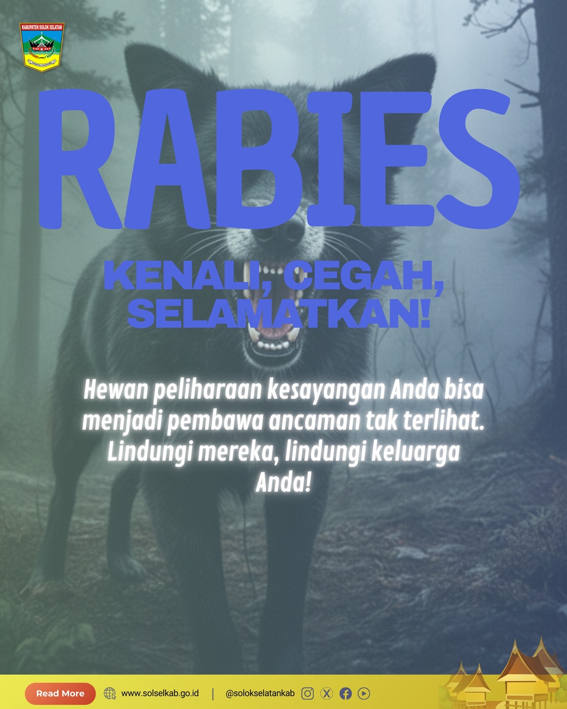 Waspada Rabies!