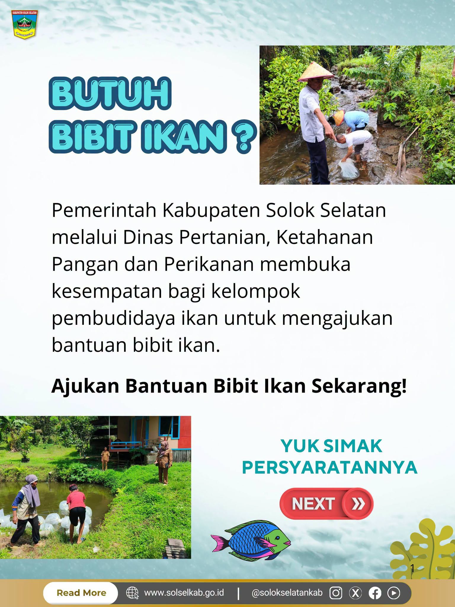 Bingung cari bibit ikan kemana?